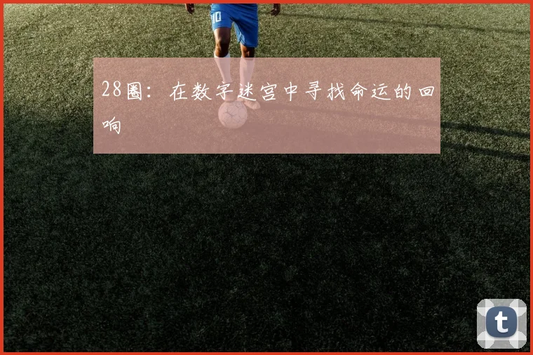 28圈：在数字迷宫中寻找命运的回响