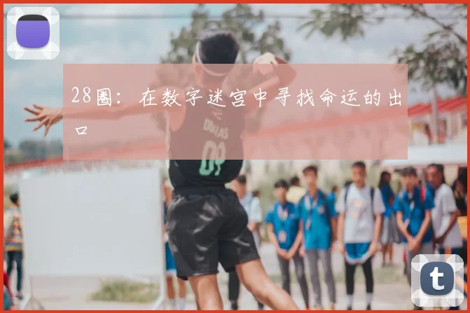 28圈：在数字迷宫中寻找命运的出口